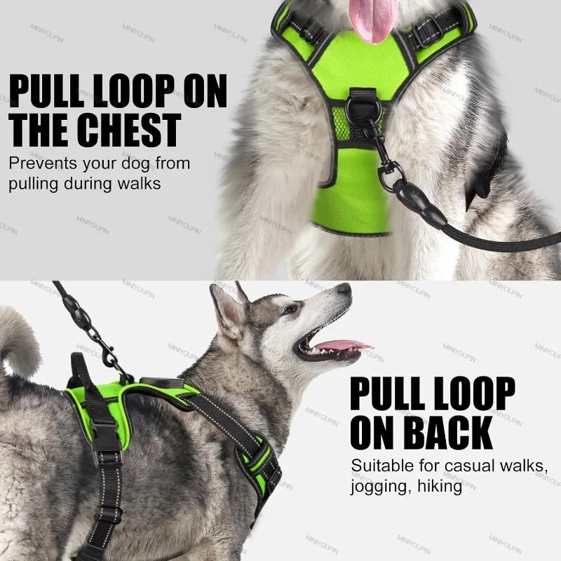 Luminous Joy Harness
