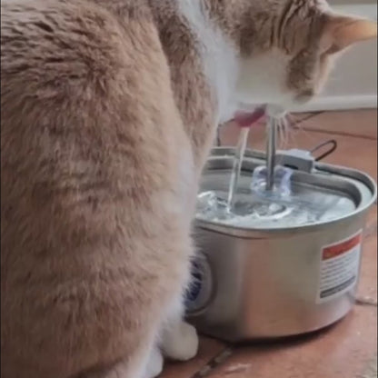 PekoFlow™ Cat Water Fountain
