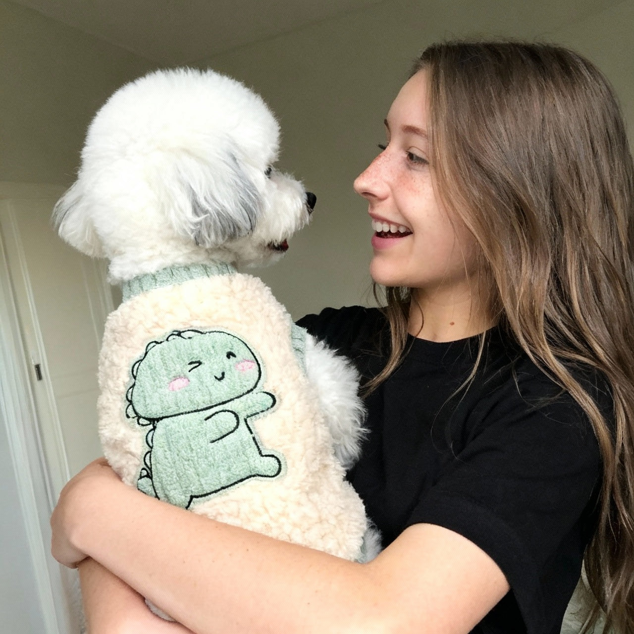 Dog Sweater - Dinosaur
