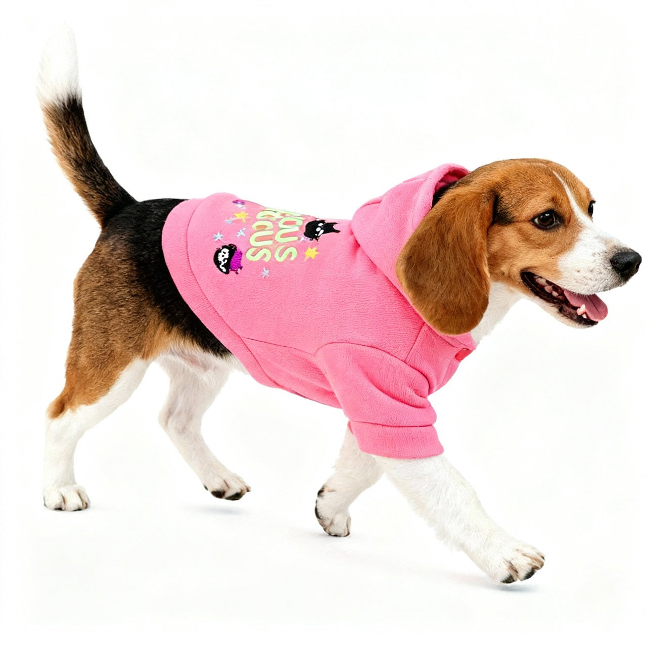 Dog Hoodies - HOCUS POCUS