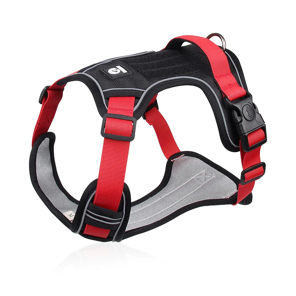 Expedition Gear Harness