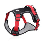 Expedition Gear Harness