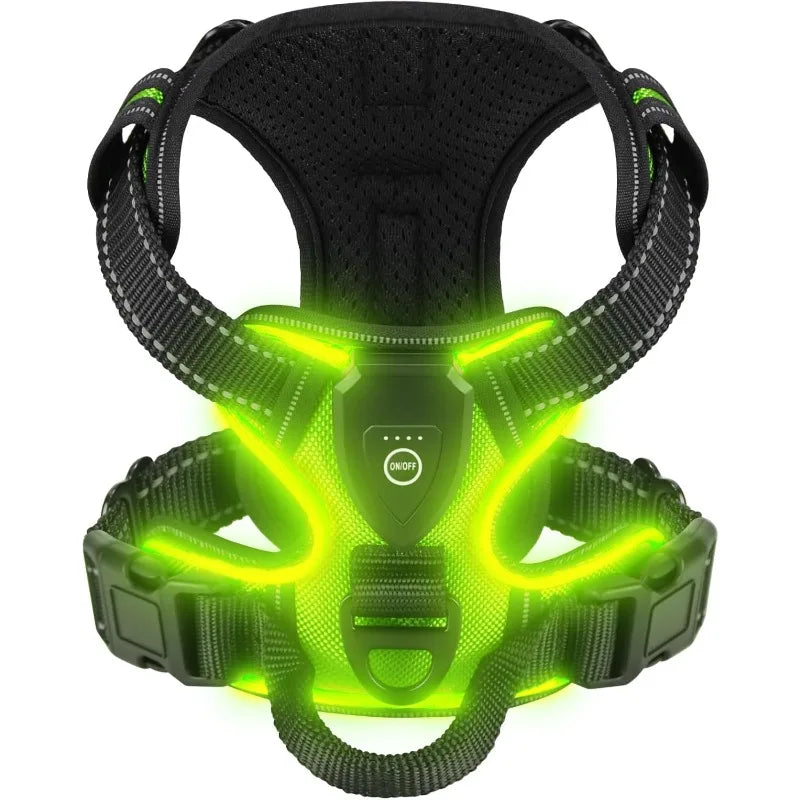 Luminous Joy Harness