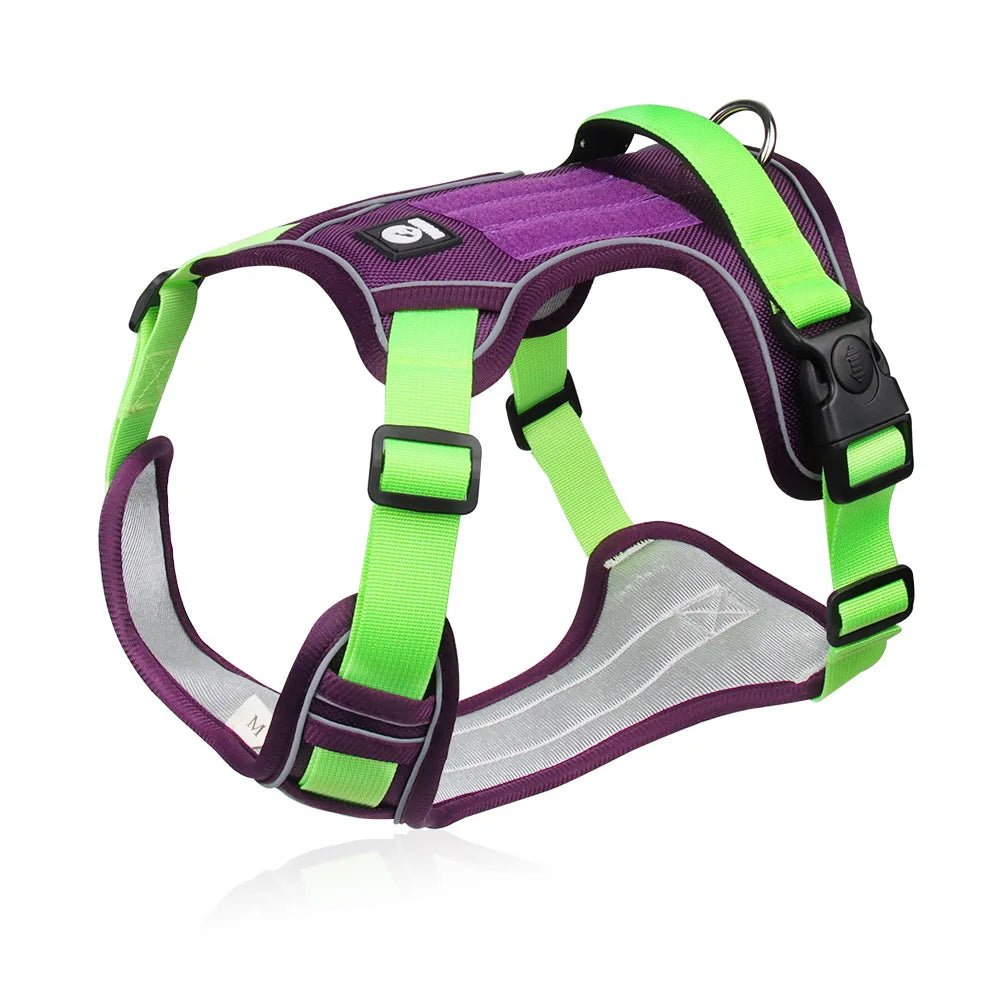 Expedition Gear Harness