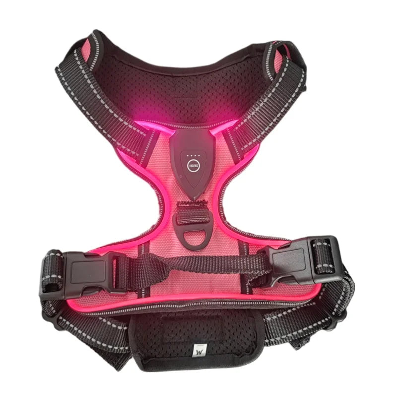 Luminous Joy Harness